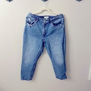 Abercrombie & Fitch Curve Love High Rise Mom Jean